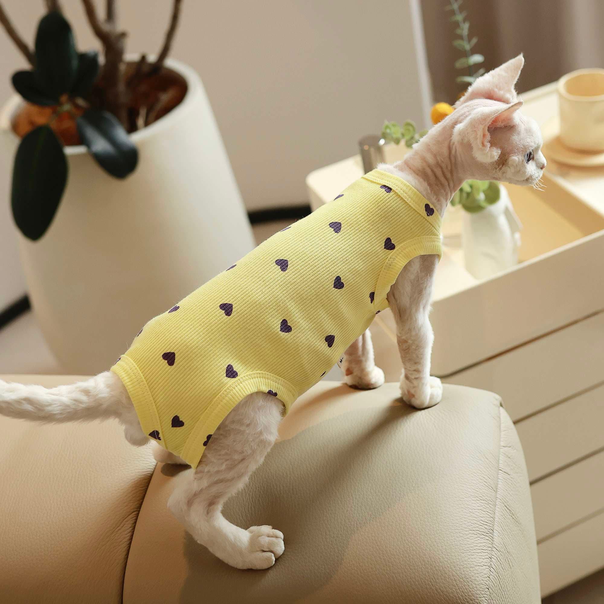 猫服  洋服 | ハートドット柄キャットウェア