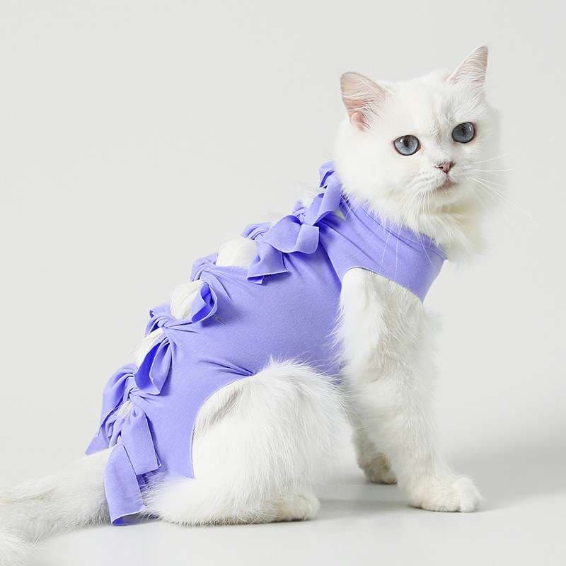 猫服  術後服 | モフモフ猫ちゃんの可愛いリボン術後服