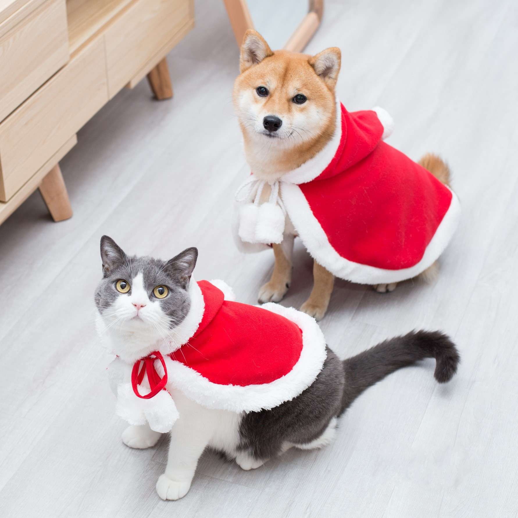 猫服  コスプレ | ペット用サンタクロース風マント