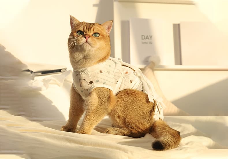 猫服  やさしい包み込み術後ケア服