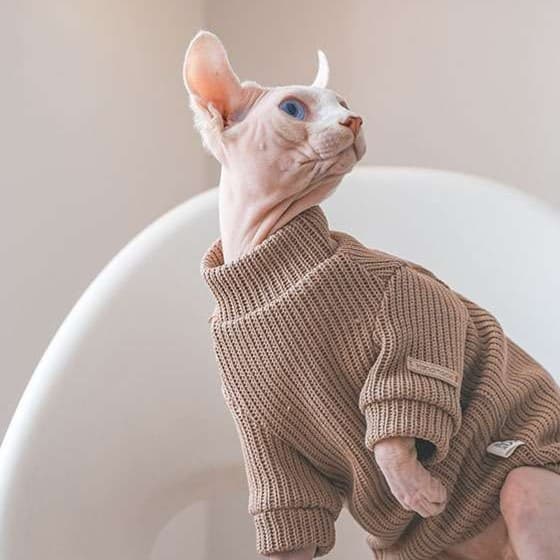 猫服  スフィンクス | スフィンクスのあったかニットセーター