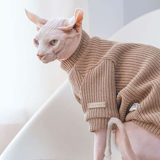 猫服  スフィンクス | スフィンクスのあったかニットセーター