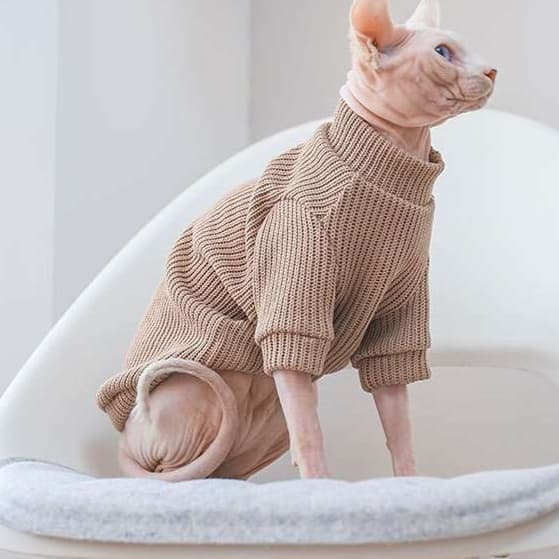 猫服  スフィンクス | スフィンクスのあったかニットセーター