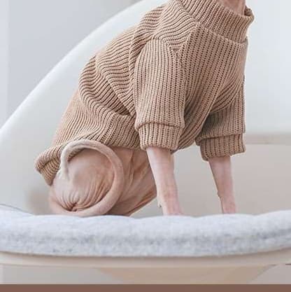 猫服  スフィンクス | スフィンクスのあったかニットセーター