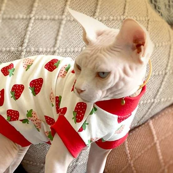 猫服  洋服 | いちごパターンキャットウェア