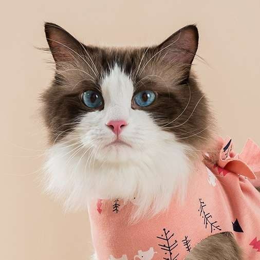 猫服  術後服 | 森の動物柄 猫用術後服