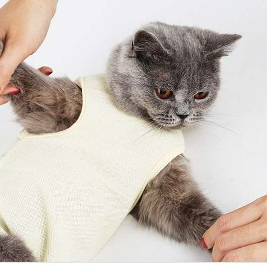 猫服  エリザベスカラー