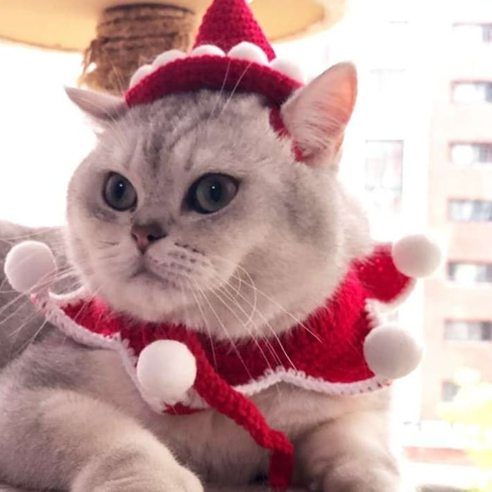 猫服  コスプレ | ねこちゃん用クリスマスコスチューム