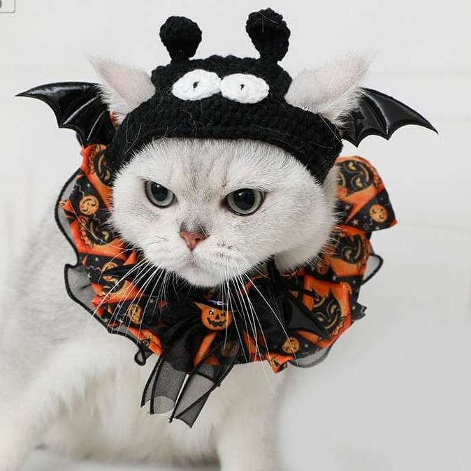 猫服  コスプレ | ハロウィン猫用コウモリコスチューム