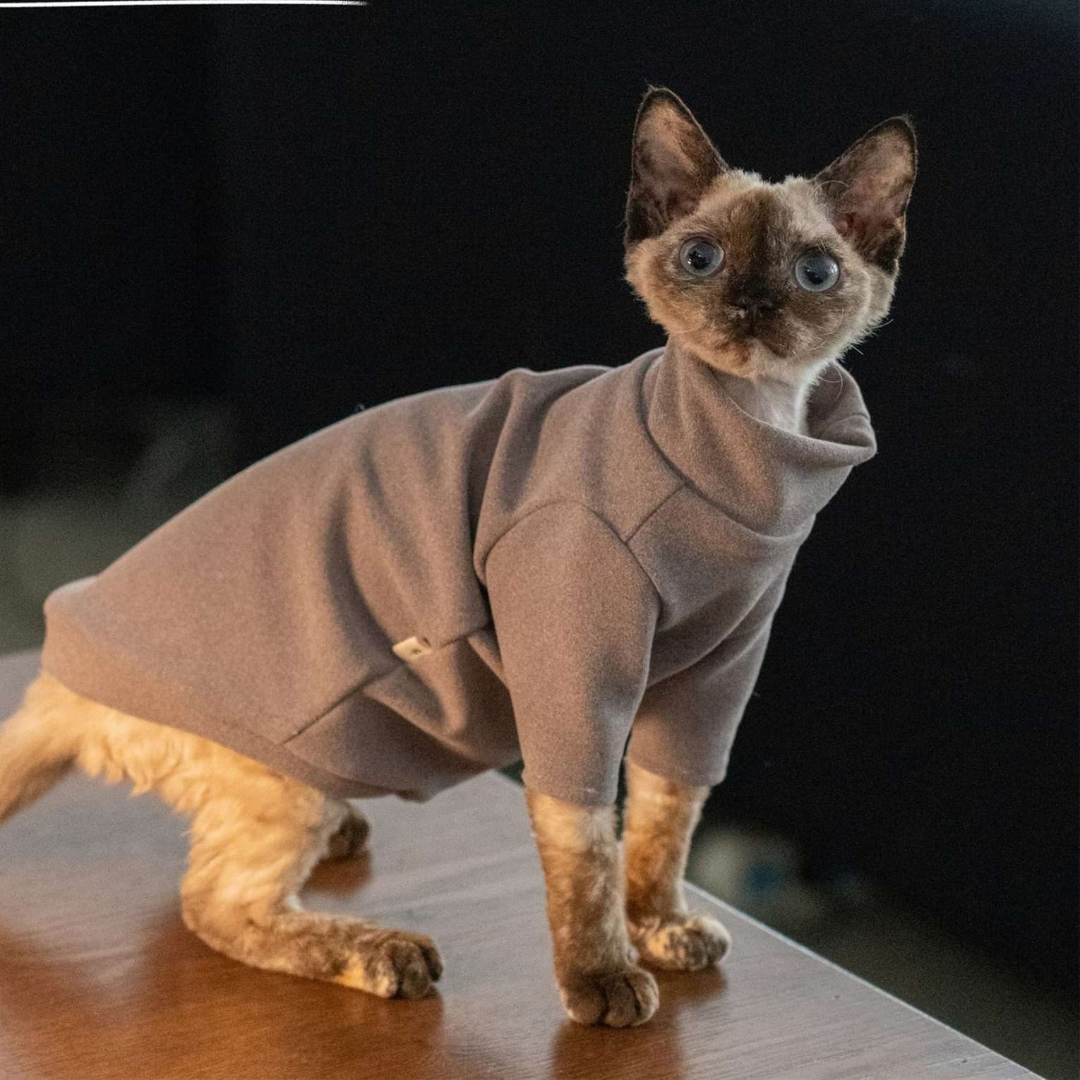 猫服  防寒服 | もこもこ猫ちゃん用タートルネックセーター