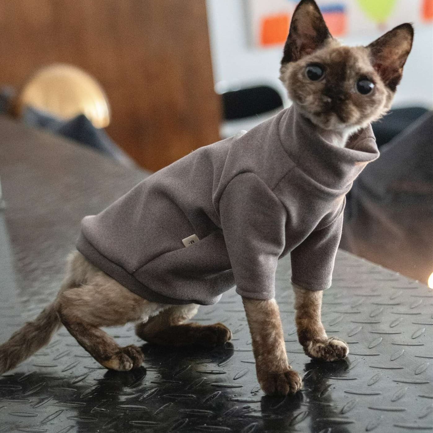 猫服  防寒服 | もこもこ猫ちゃん用タートルネックセーター