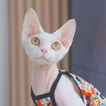 猫服  洋服 | ポップアートキャラクター柄キャットウェア