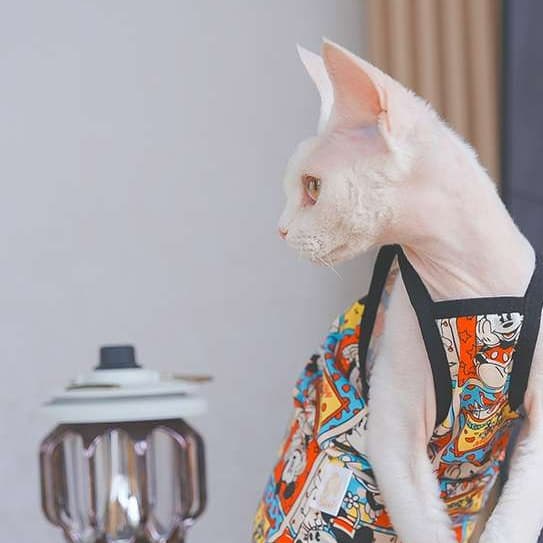 猫服  洋服 | ポップアートキャラクター柄キャットウェア