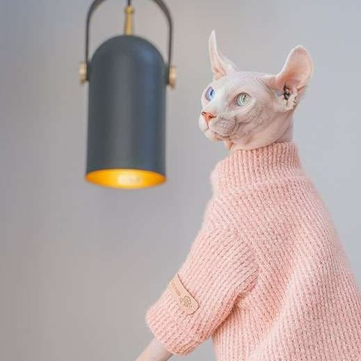 猫服  スフィンクス | スフィンクスの暖かピンクニットセーター