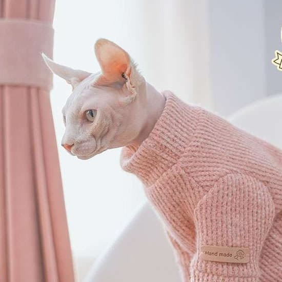猫服  スフィンクス | スフィンクスの暖かピンクニットセーター