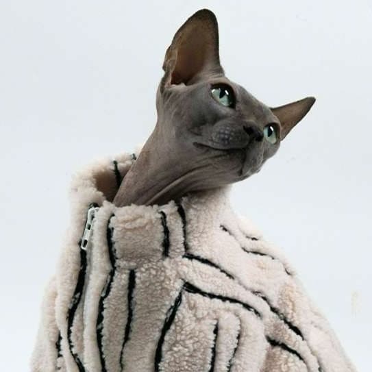 猫服  スフィンクス | スフィンクスの防寒ファーコート