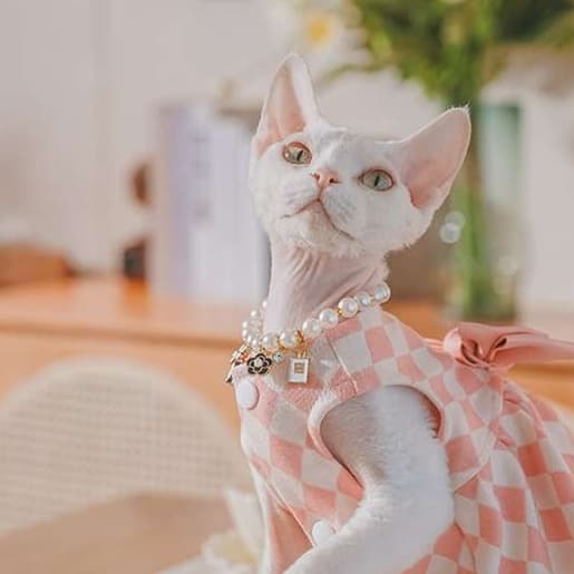 猫服  洋服 | チェック柄パールリボンワンピース