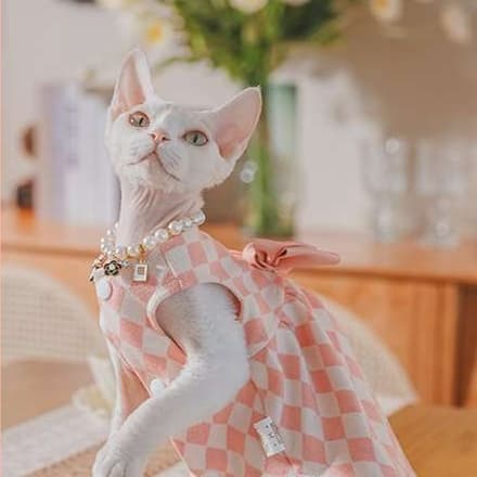 猫服  洋服 | チェック柄パールリボンワンピース