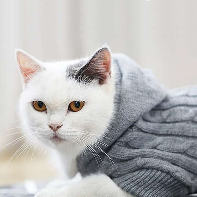 猫服  防寒服 | もこもこケーブル編みキャットセーター