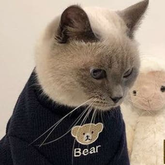 猫服 小熊刺繍入りふわもこ袖口あったか猫用編み上着
