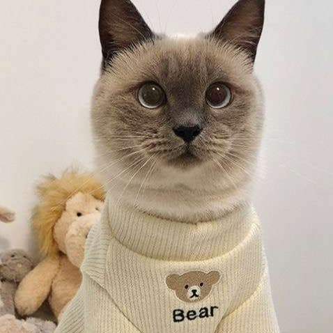 猫服 小熊刺繍入りふわもこ袖口あったか猫用編み上着