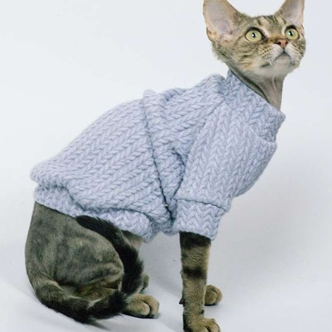 猫服  スフィンクス | スフィンクスの冬支度 ニットセーター