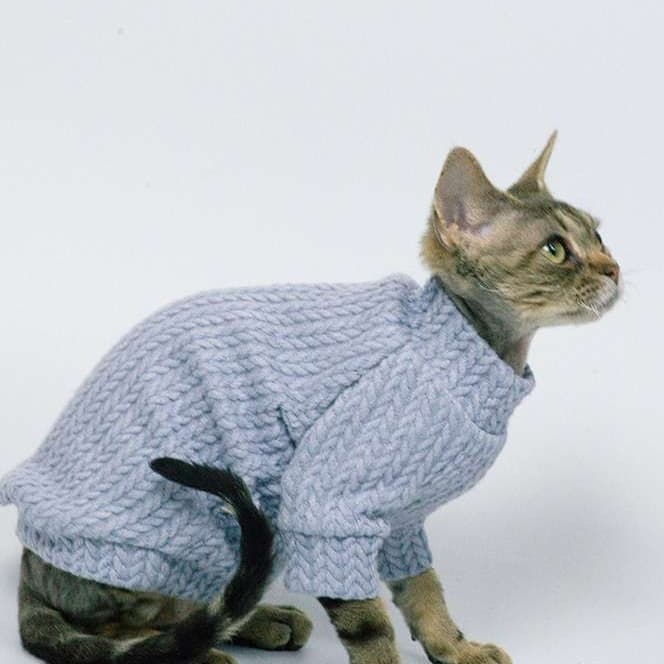 猫服  スフィンクス | スフィンクスの冬支度 ニットセーター