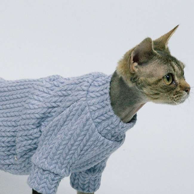 猫服  スフィンクス | スフィンクスの冬支度 ニットセーター