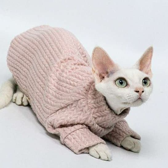 猫服  スフィンクス | スフィンクスのふわもこニットウェア