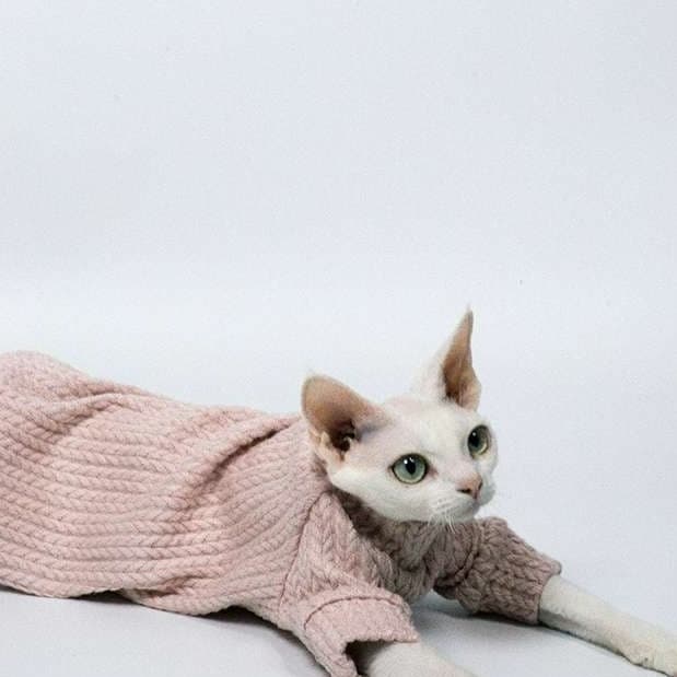 猫服  スフィンクス | スフィンクスのふわもこニットウェア