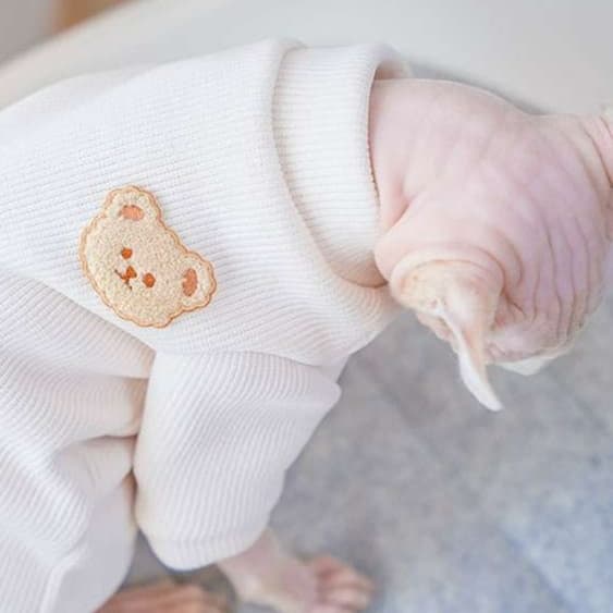 猫服  スフィンクス | スフィンクスの暖かニットウェア