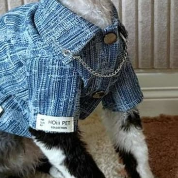 猫服  スフィンクス | スフィンクスのデニムジャケット