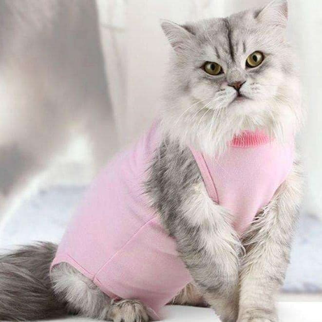 猫服  術後服 | ふわもこ猫用術後服
