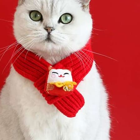 猫服  帽子 | 猫の新年用ファッションアイテム