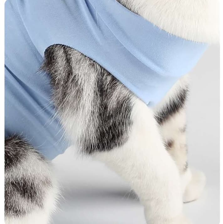 猫服  術後服 | ふんわりリボン付き猫用術後服