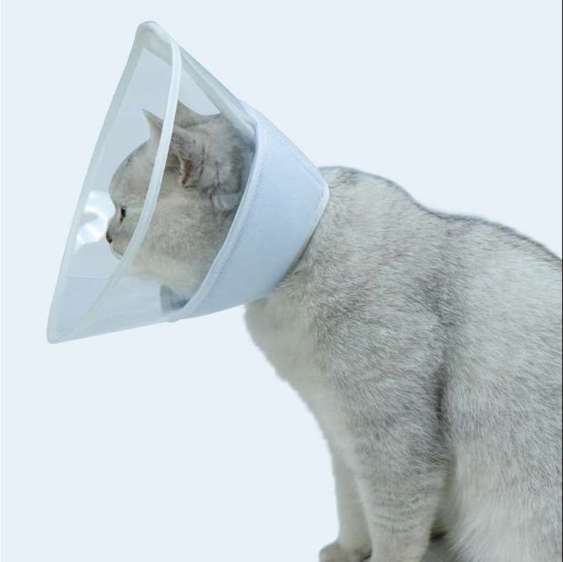 猫服 猫 エリザベスカラー | ペット用半透明視界拡張カラー