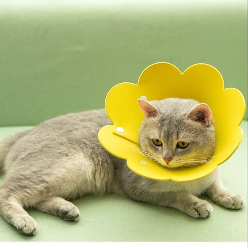 猫服 猫 エリザベスカラー | 花びら型ペット保護具