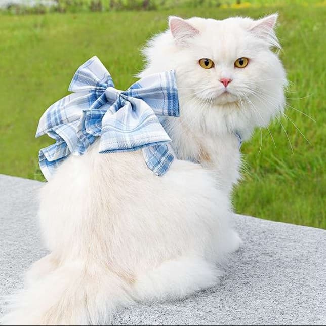 猫服  洋服 | ふわもこリボン付き猫用チュニック