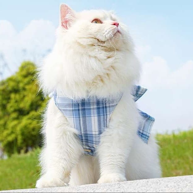 猫服  洋服 | ふわもこリボン付き猫用チュニック