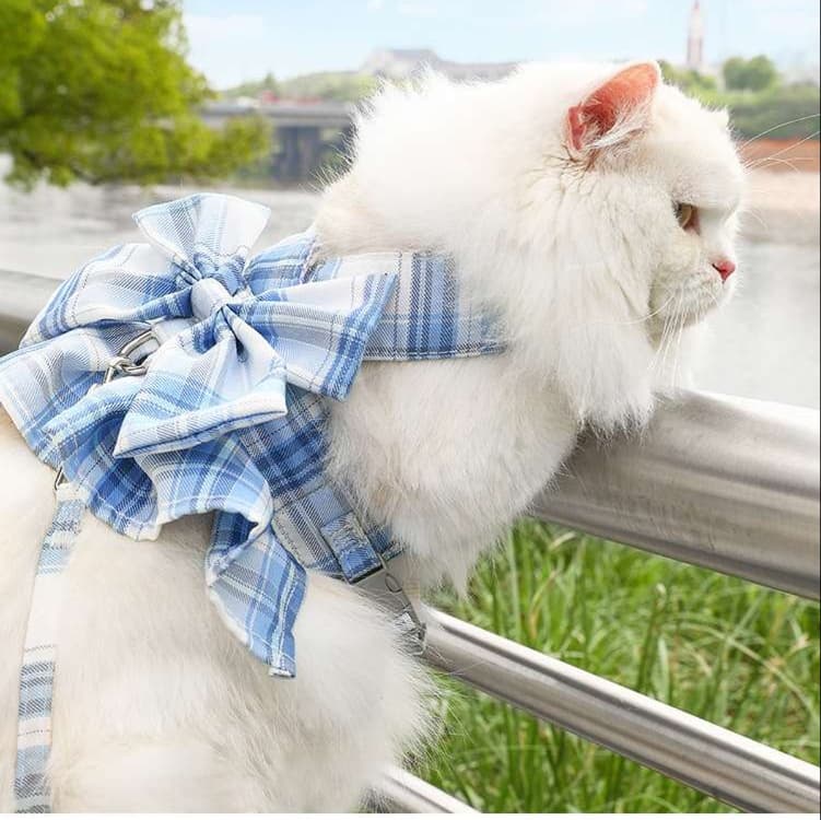 猫服  洋服 | ふわもこリボン付き猫用チュニック