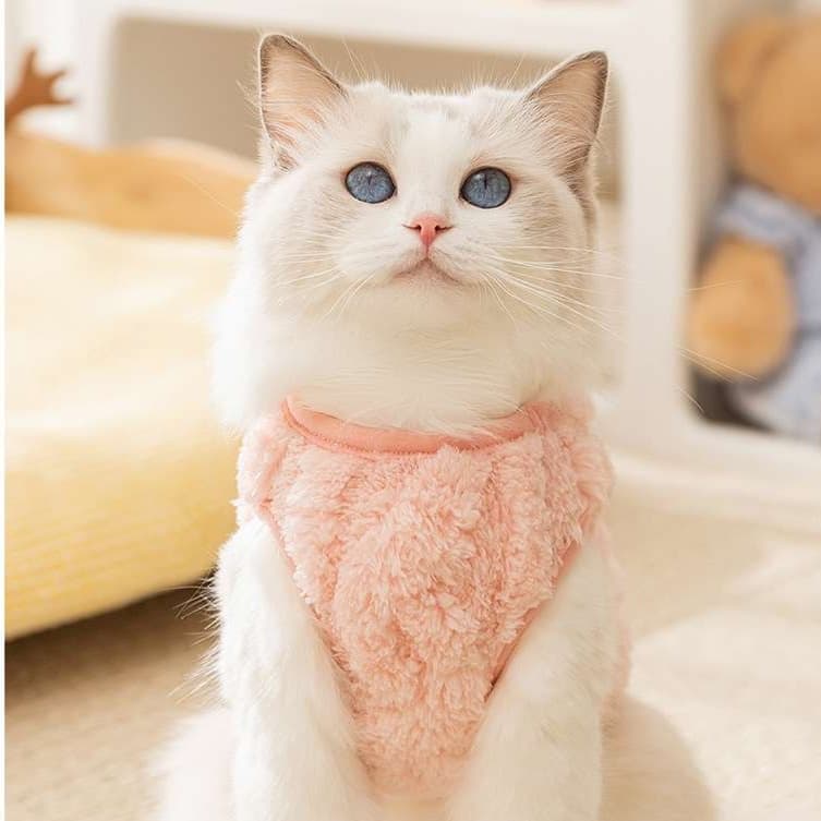 猫服  防寒服 | もこもこ猫ちゃんベスト