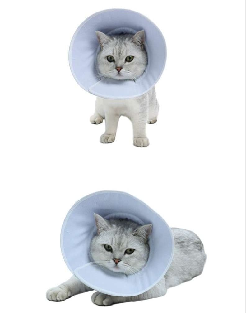 猫服 猫 エリザベスカラー | 快適ペット用エリザベスカラー