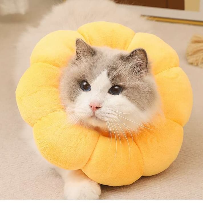 猫服 猫 エリザベスカラー | ふわもこお花型エリザベスカラー