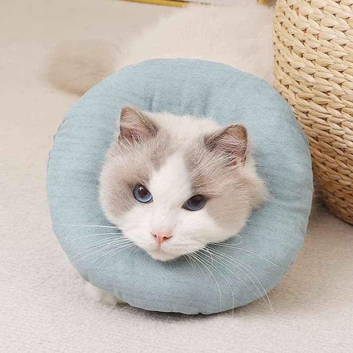 猫服 猫 エリザベスカラー | ふわもこお花型エリザベスカラー