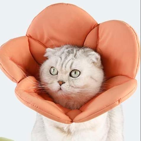 猫服 猫 エリザベスカラー | お花型ペット用保護具