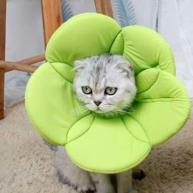 猫服 猫 エリザベスカラー | お花型ペット用保護具