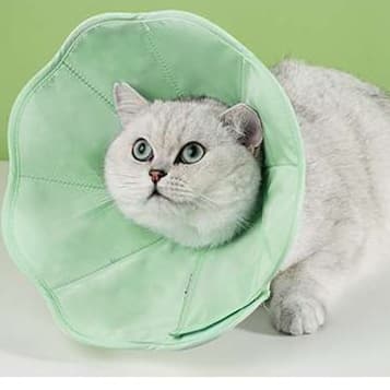 猫服 猫 エリザベスカラー | もふもふ安心エリザベスカラー