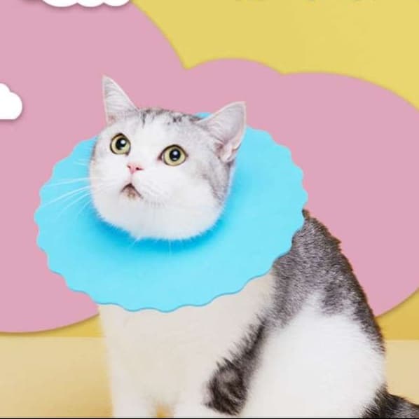 猫服 猫 エリザベスカラー | もふもふ快適エリザベスカラー