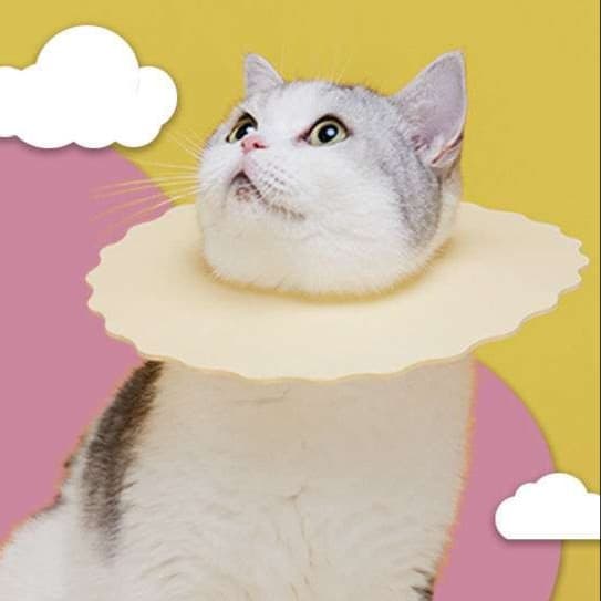 猫服 猫 エリザベスカラー | もふもふ快適エリザベスカラー