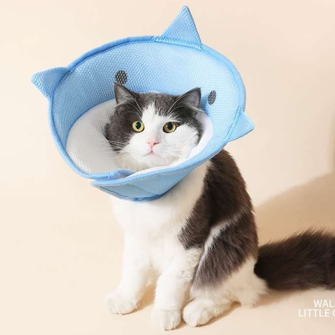 猫服 猫 エリザベスカラー | ペット用快適通気性保護カラー